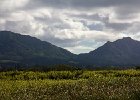 IMG 0958