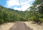 IMG 0053