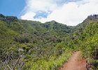 IMG 0064
