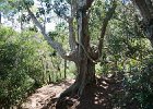 IMG 0075