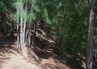 IMG 0077
