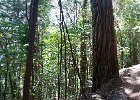 IMG 0089