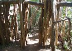 IMG 0095