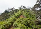 IMG 0142