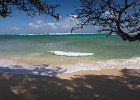 IMG 7285