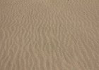IMG 7317