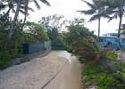 IMG 7345