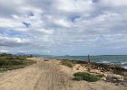 IMG 3959