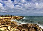 IMG 3967