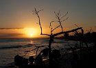 IMG 6844