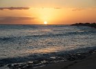 IMG 6866