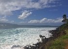 IMG 5259