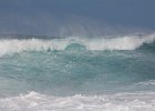 IMG 7345