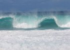 IMG 7407