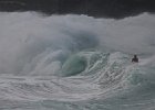IMG 7422