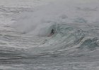 IMG 7443