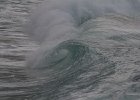 IMG 7455