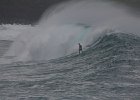 IMG 7494
