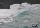 IMG 7548