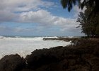IMG 7621
