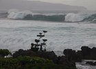 IMG 7632