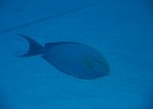 IMG 2578