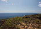 IMG 2664