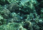 DSCF0547