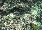 DSCF0549