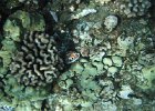 DSCF0552