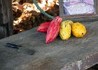 IMG 2426