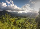 IMG 2838