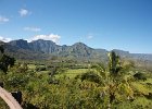IMG 5134
