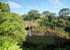 IMG 1942