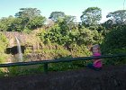 IMG 1977