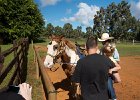 IMG 5161
