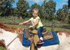 IMG 5195