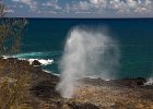 IMG 2795