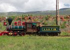 IMG 1806