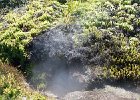 IMG 2132