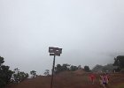 IMG 2737