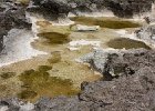 IMG 8982