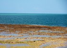 IMG 8987