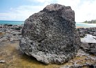 IMG 8990