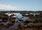 IMG 9078