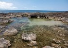IMG 9095