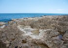 IMG 9110
