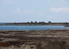 IMG 9124