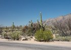 IMG 7525