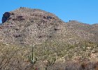 IMG 7530